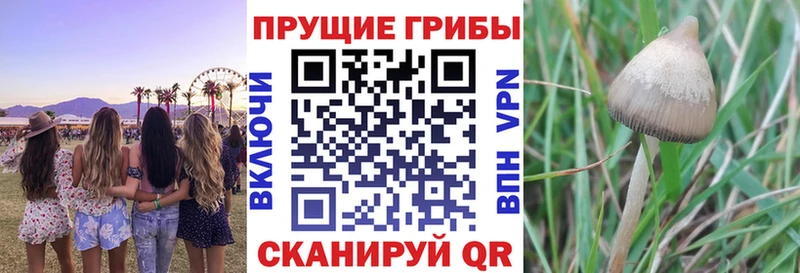 Псилоцибиновые грибы Magic Shrooms  Семилуки 