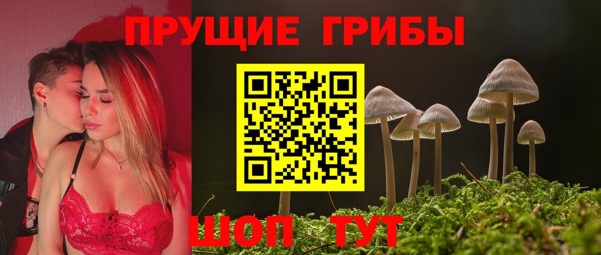 Галлюциногенные грибы Psilocybine cubensis  Вход с VPN  Псилоцибиновые грибы GOLDEN TEACHER  Семилуки 